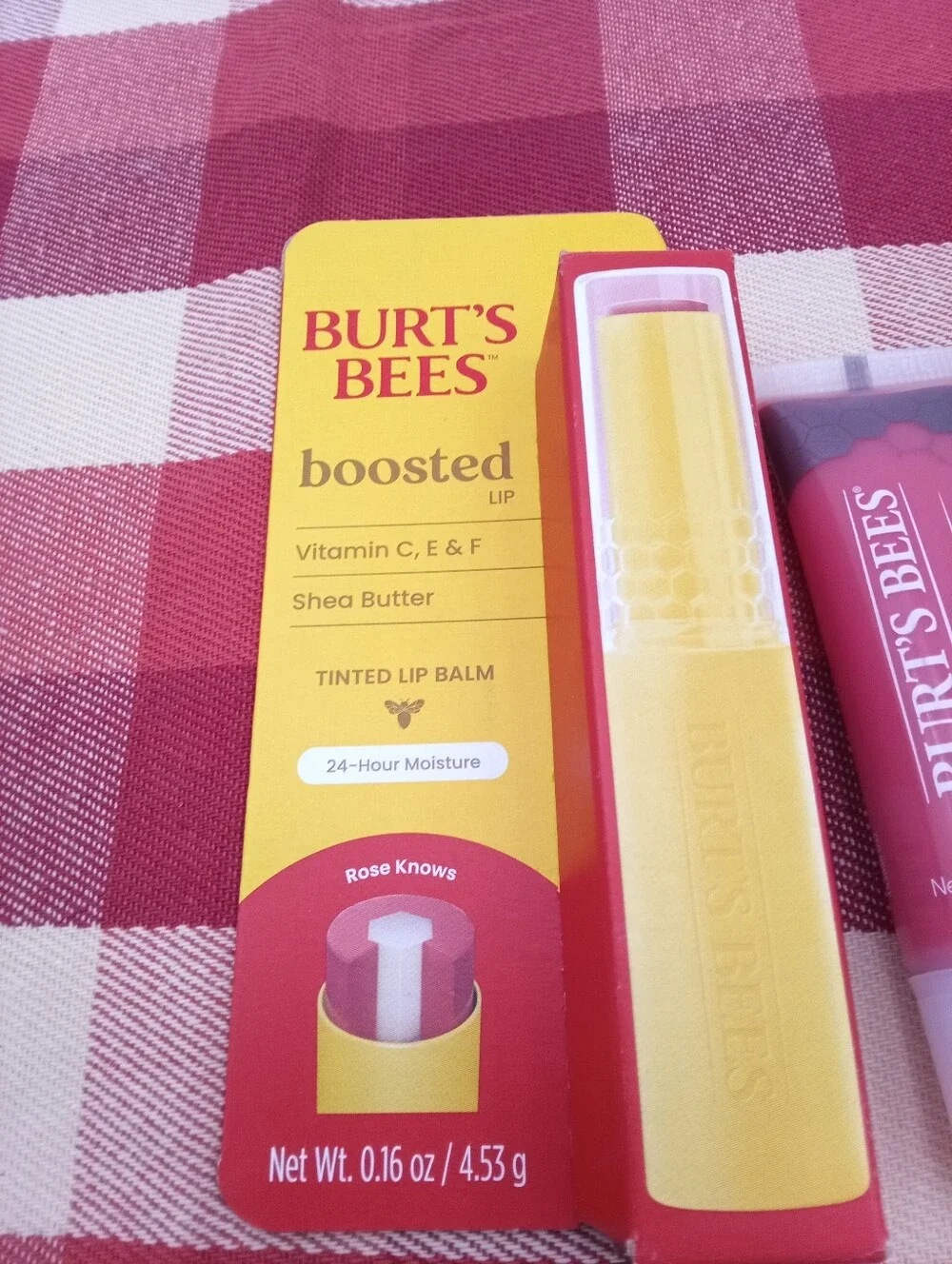 Burt's Bees Bundle Lip New